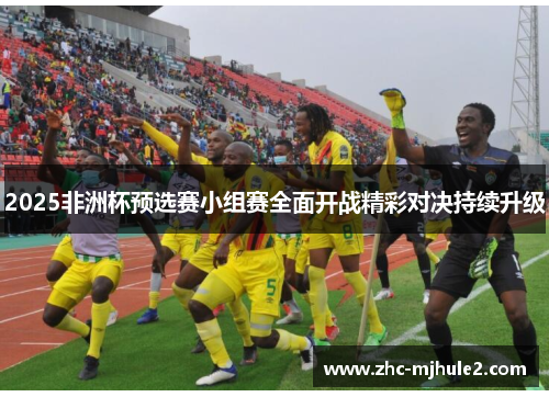 2025非洲杯预选赛小组赛全面开战精彩对决持续升级